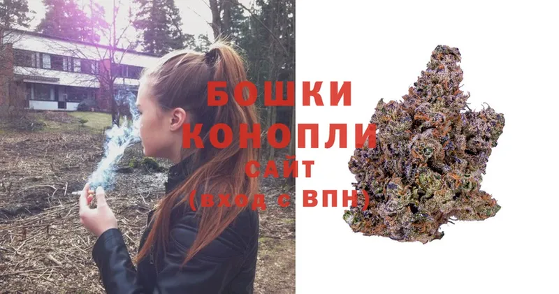 Бошки марихуана White Widow  Пудож 